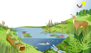 What does Nature have to do with Real Estate Sales?