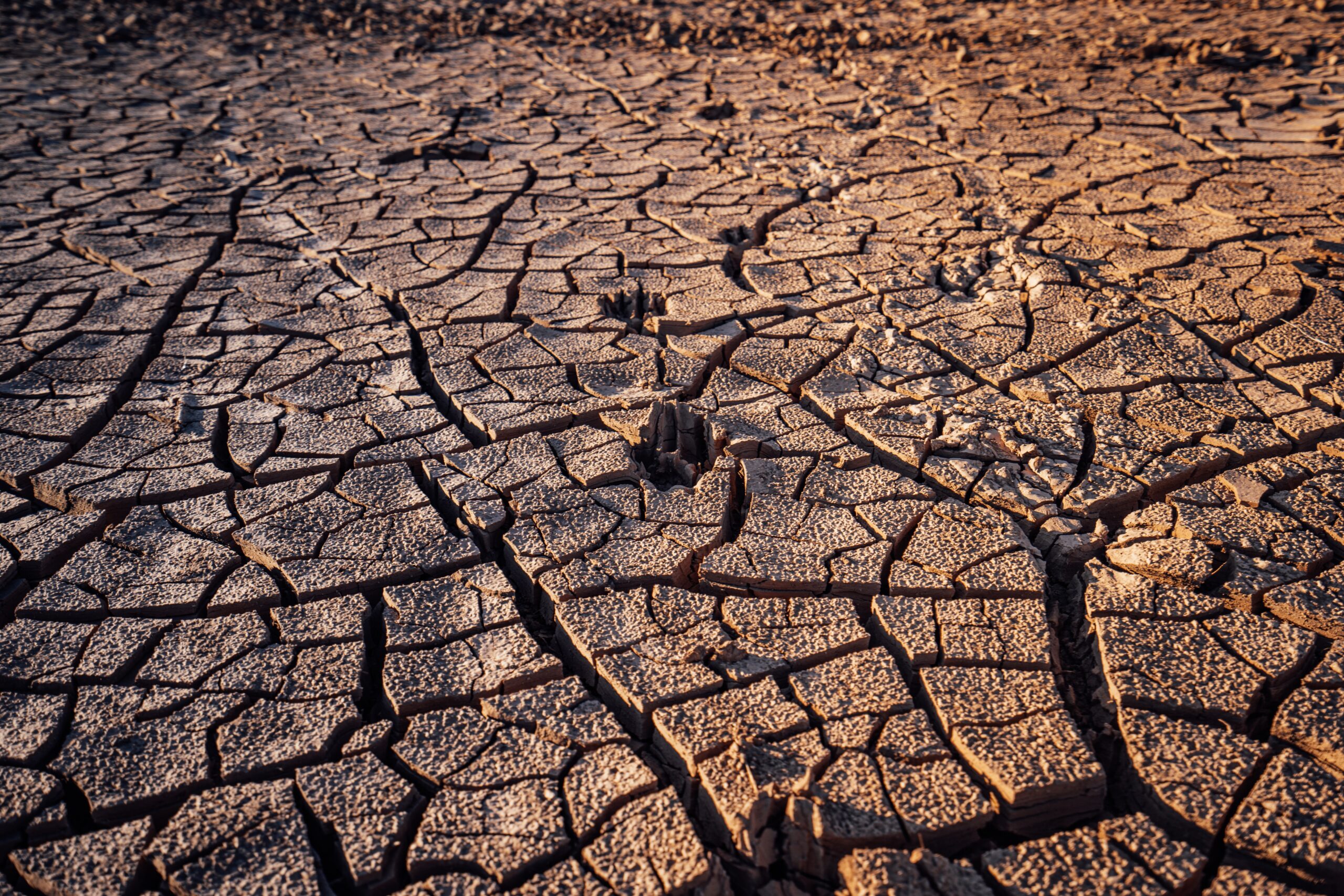 Misaligned Expectations Erode Trust