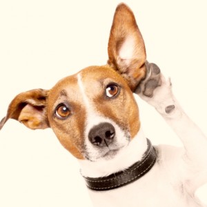 Powerful Questions 8