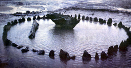 16.07.07 Blog Personality Tests