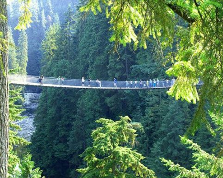Photo credit lynncanyon.ca 16.09.01 Crossing a Suspension Bridge2
