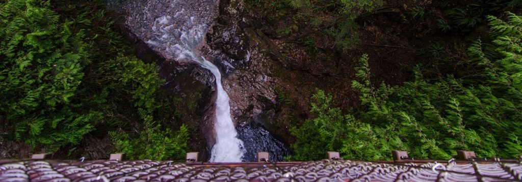 Photo credit lynncanyon.ca 16.09.01 Crossing a Suspension Bridge3.png