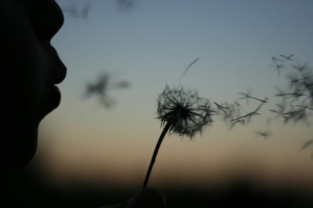 How to be Less Busy, Less Stressed and More Successful