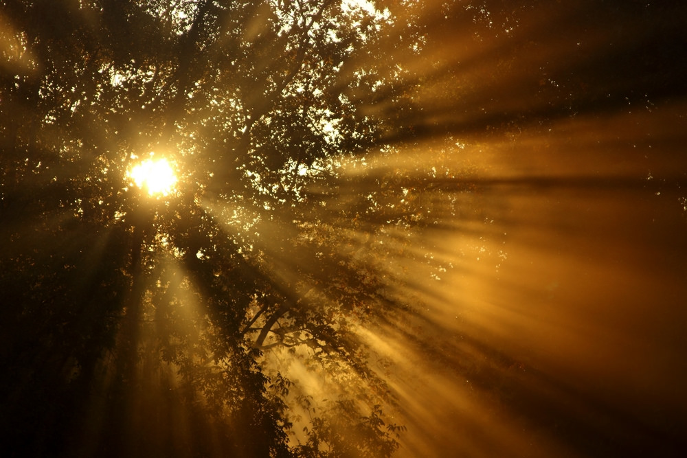 Three Common Misconceptions that Hurt Sellers