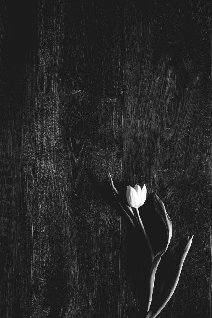 StockSnap_1PPVGXVWDF