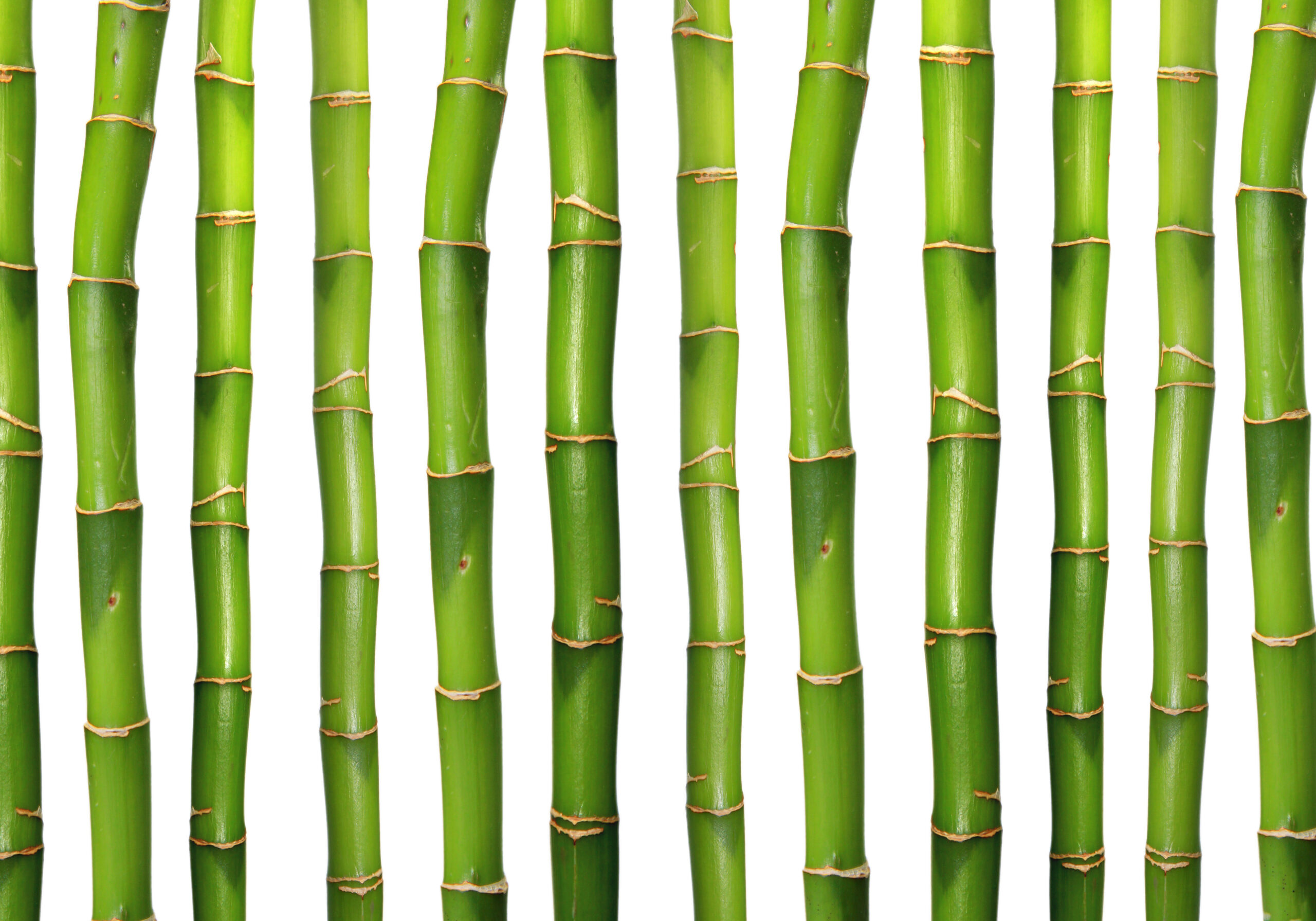 Parallels between Coaching and Selling Real Estate