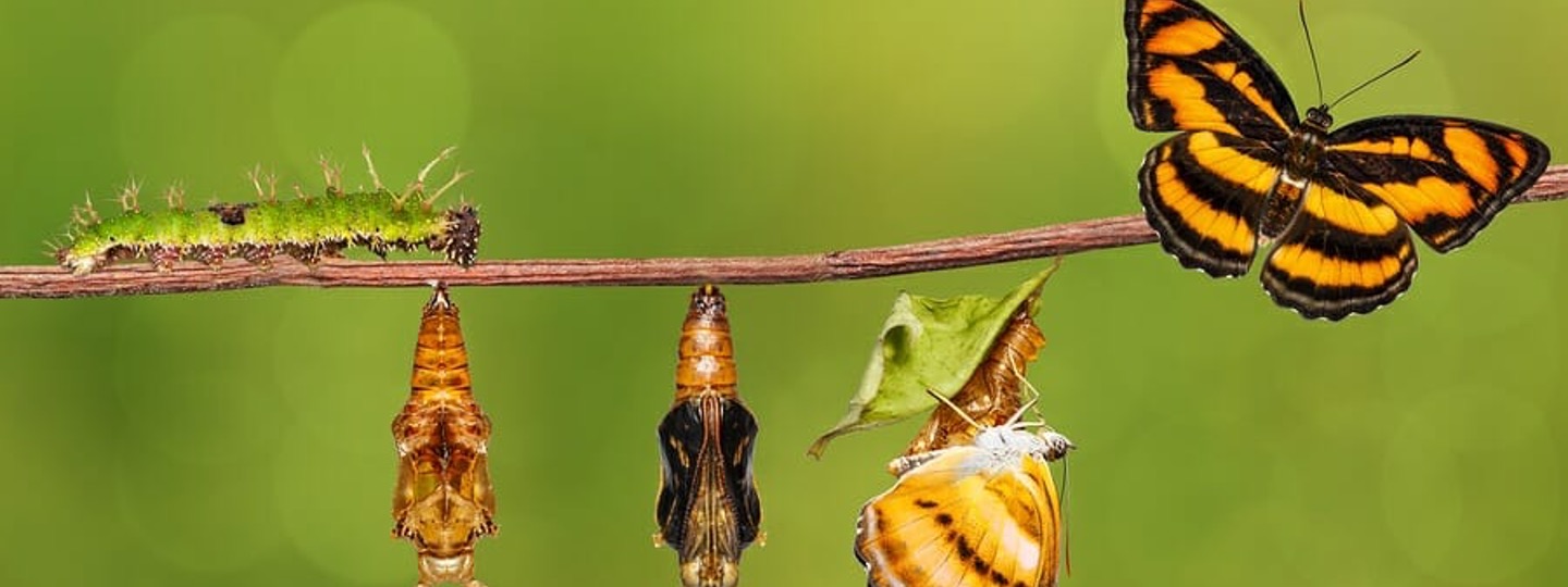 Facing the Future Fearlessly
